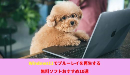 Windows11でブルーレイを再生する無料ソフトおすすめ10選